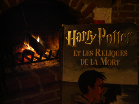 harry-potter-feu.jpg